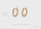 AAA Replica Celine Yellow Gold Kink Earrings (4)_th.jpg